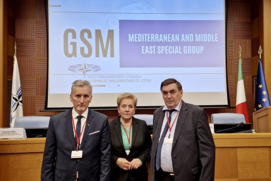 Članovi Delegacije PSBiH u PSNATO-a učestvuju u Rimu na seminaru Specijalne grupe za Mediteran i Bliski istok PSNATO-a
